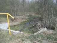 Котів з panoramio.com