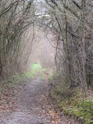 Бушинка з panoramio.com