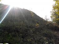 Пугачівка з panoramio.com