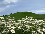 Дем'янів з panoramio.com