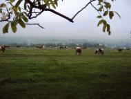 Дяківці з panoramio.com