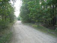 Лісобуда з panoramio.com