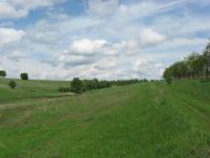 Лікарівщина з panoramio.com