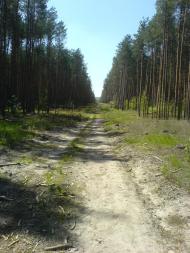 Морозовка - Последние фото