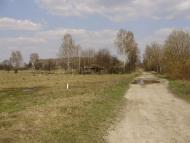 Травневе з panoramio.com