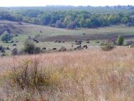 Дніпрельстан з panoramio.com