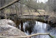 Терентіївка з panoramio.com