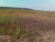 Дробишів з panoramio.com