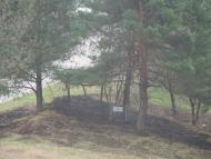 Бушинка з panoramio.com