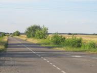 Мізоч з panoramio.com