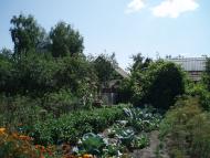 Бухарів з panoramio.com