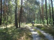 Мирча з panoramio.com