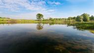 Червоний Шахтар з panoramio.com