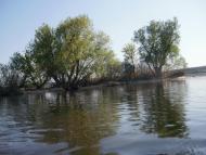 Орлівське з panoramio.com