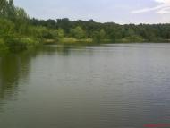 Нижні Ремети з panoramio.com