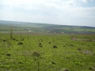 Лани з panoramio.com