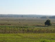 Веселоіванівське з panoramio.com