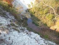 Мічурінське з panoramio.com