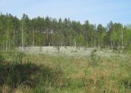 Страшеве з panoramio.com