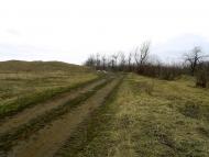 Тамара з panoramio.com