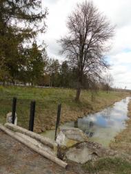 Котів з panoramio.com