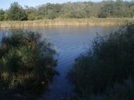 Новохортиця з panoramio.com