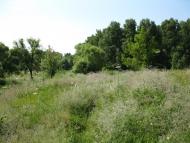 Чулатів з panoramio.com