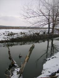 Заострів з panoramio.com