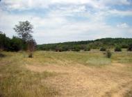 Червонодніпровка з panoramio.com