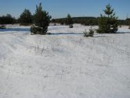 Білецьківка з panoramio.com