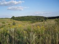 Підцурків з panoramio.com