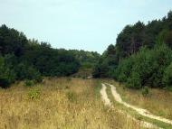 Красна Лука з panoramio.com