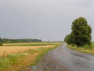 Антоніна - Останні фото