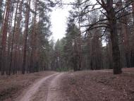 Морозовка - Последние фото