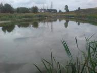 Вишняки з panoramio.com