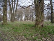 Цурків з panoramio.com