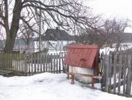 Горіхове з panoramio.com