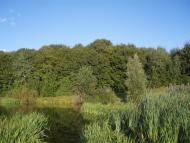 Спасів з panoramio.com