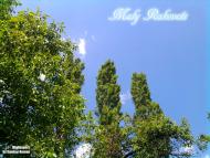 Малий Раковець з panoramio.com