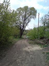 Зарябинка з panoramio.com