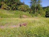 Пугачівка з panoramio.com