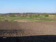 Немировское - Последние фото