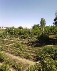 Городнє з panoramio.com