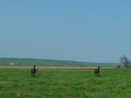 Юрашеве з panoramio.com