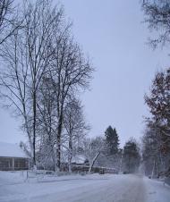 Немішаєве з panoramio.com