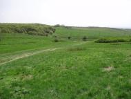 Новозванівка з panoramio.com