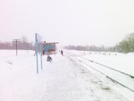 Сасинівка з panoramio.com