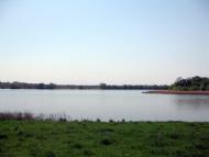 Трубіївка з panoramio.com