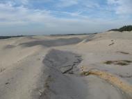 Лісобуда з panoramio.com