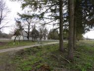 Котів з panoramio.com